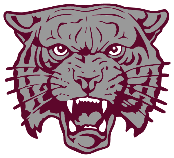 Manor Wildcats Ptsa Logo