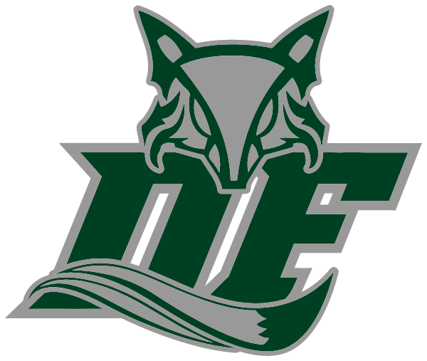 Dutch Fork Girls Vball Booster Club Logo