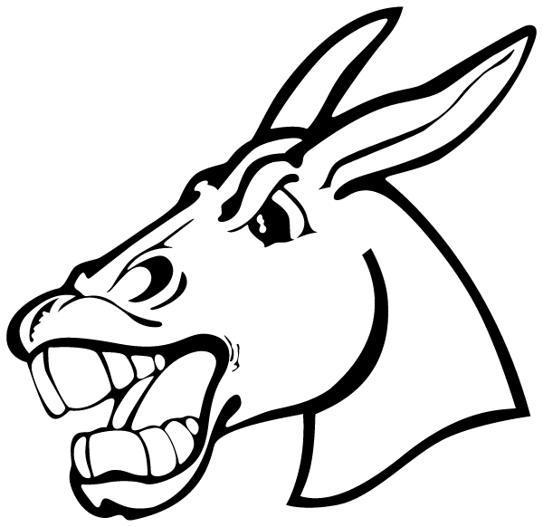 Bernie Pto Logo