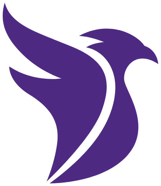 Five Star Online Academy Logo