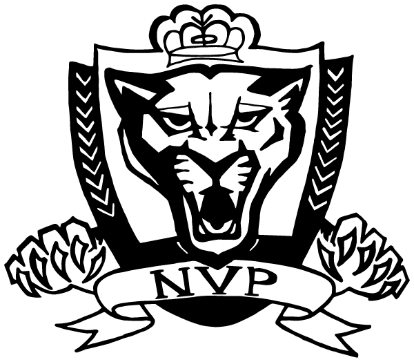 New Visions Panthers Logo