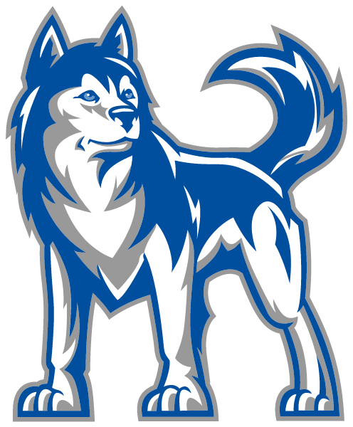 Skyview High School Logo