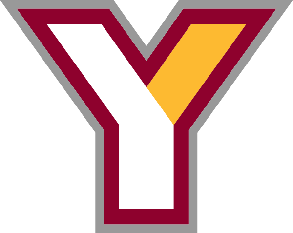 Youngstown City School District Logo