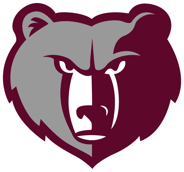 Mountain Gap Middle School Logo