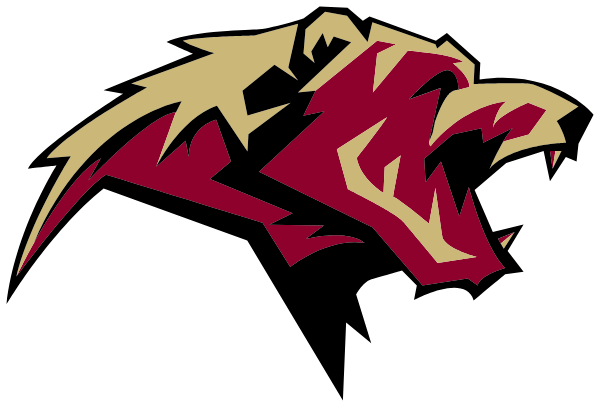 North Iredell Middle School Logo