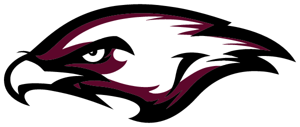 Mc Nicol Middle School Logo