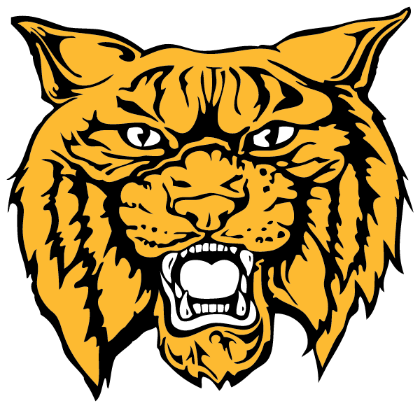 Lincolnton Middle School Logo