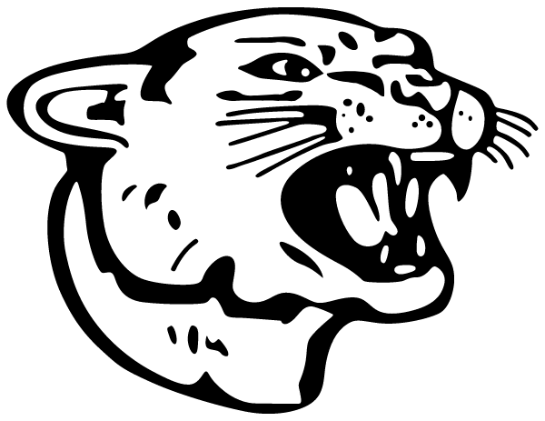 Colonel Richardson Middle School Logo