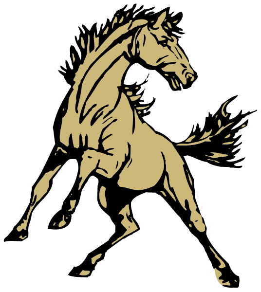 Lee Central High School Logo