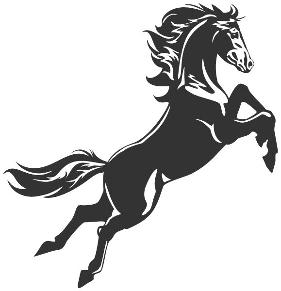 Liberty Memorial Central Middle School Sideline Store Mustangs (LAWRENCE, KANSAS) Spirit Apparel & Accessories Store