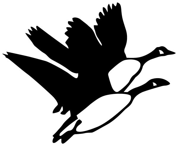 Rondout Valley Junior High School Logo