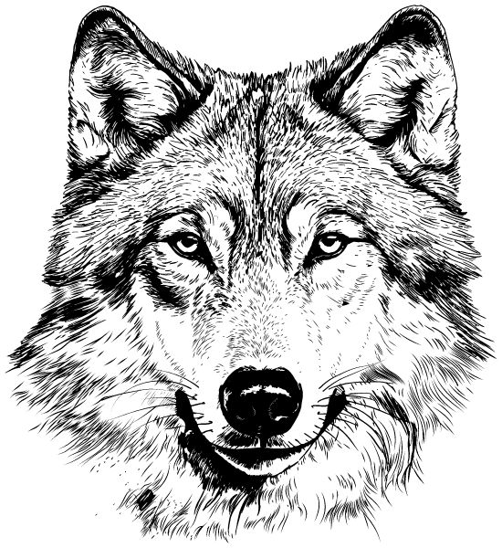 Hopson Middle School Sideline Store Wolves (BARROW, ALASKA) Spirit Apparel & Accessories Store