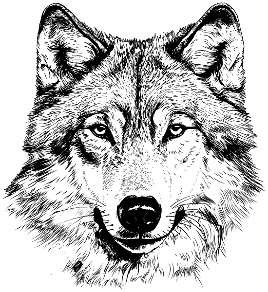 Hopson Middle School Logo