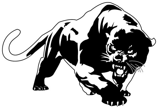 North Lincoln Middle School Sideline Store Panthers (DENVER, NORTH CAROLINA) Spirit Apparel & Accessories Store