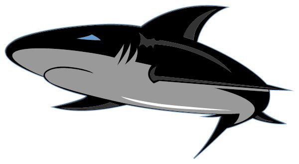 Kihei Charter High School Sideline Store Tiger Sharks (KIHEI, Hawaii) Spirit Apparel & Accessories Store