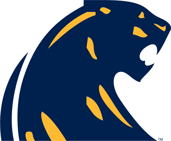 Dewitt High School Logo