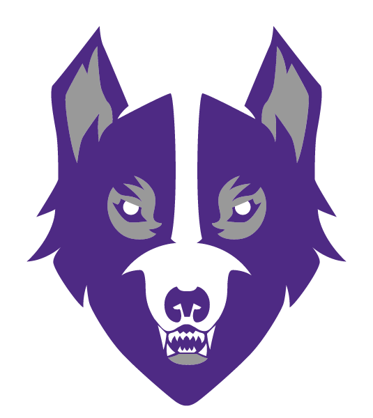 South Middle School Logo