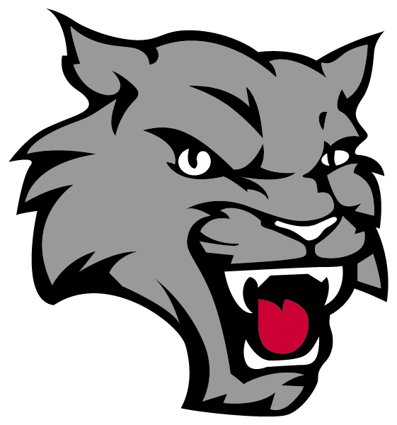 Creek Valley Middle School Logo