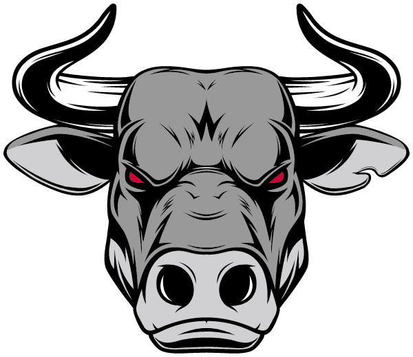 North Rowan Middle School Logo