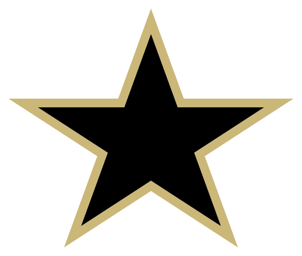Wilson And Young Medal Of Honor Middle School Logo