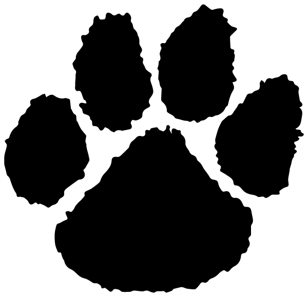 Byron Middle School Logo