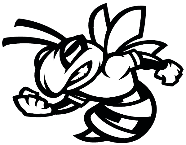 Valdez City Schools Logo