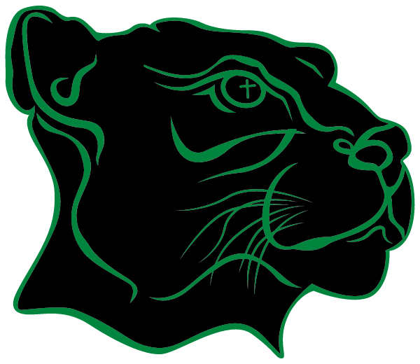 St. Vincent Depaul School Logo