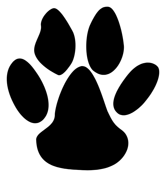 Floresville Middle School Logo