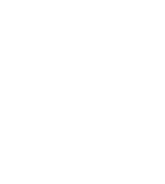 Heineman Middle School Logo