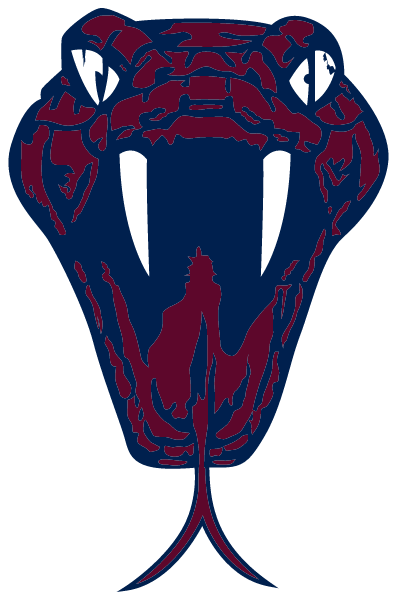 Dessau Middle School Logo