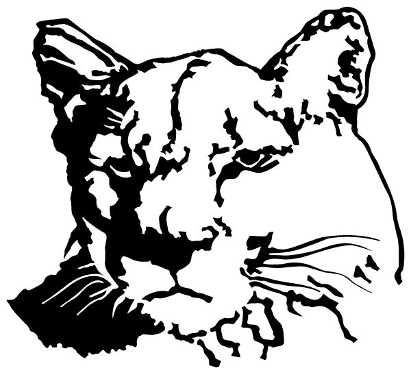 Crestview Middle School Sideline Store Cougars (ASHLAND, OHIO) Spirit Apparel & Accessories Store