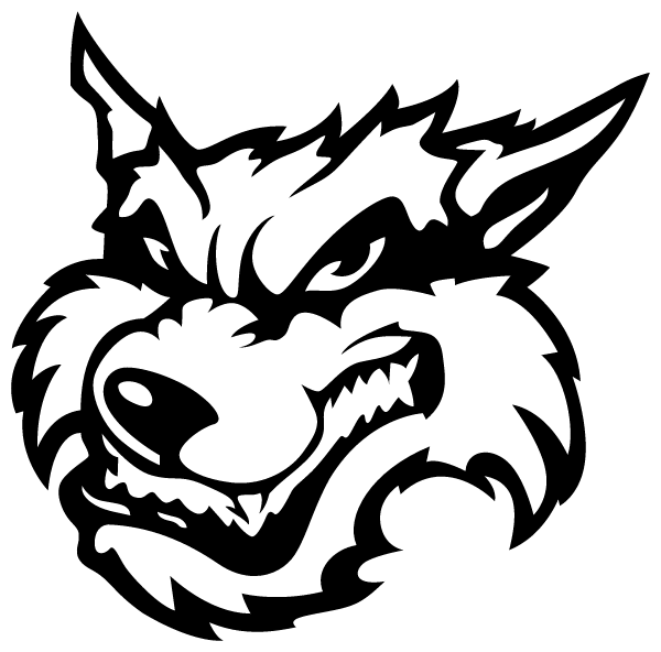Wiley Middle School Logo