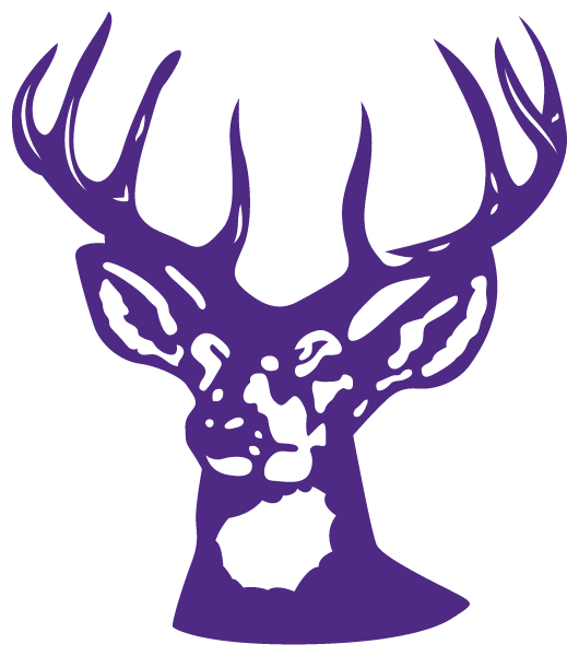 Bucksport High School Logo