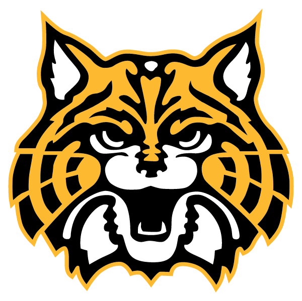 Chinle Junior High School Logo