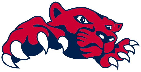 Desert Sky Middle School Logo