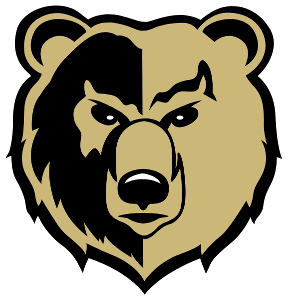 Shelbyville High School Logo