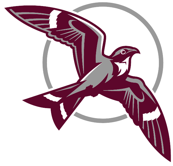 Sky Vista Middle School Logo