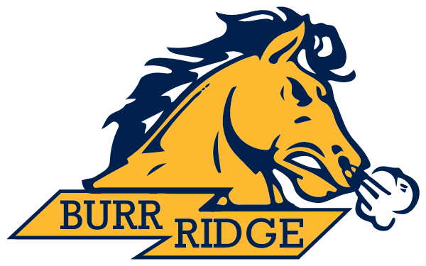 Burr Ridge Middle School Logo
