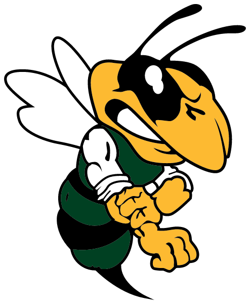 Wellsboro Area High School Logo