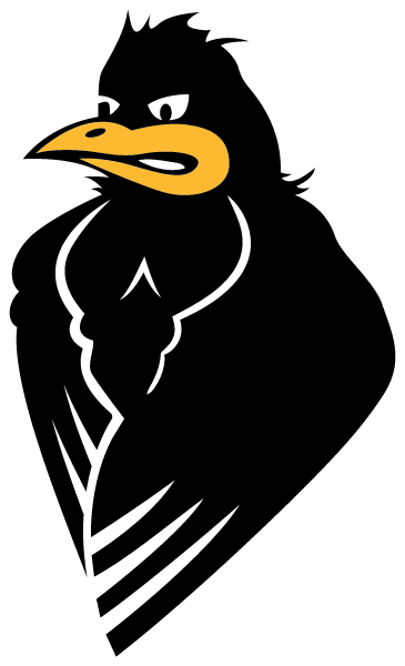 Robinson Middle School Logo