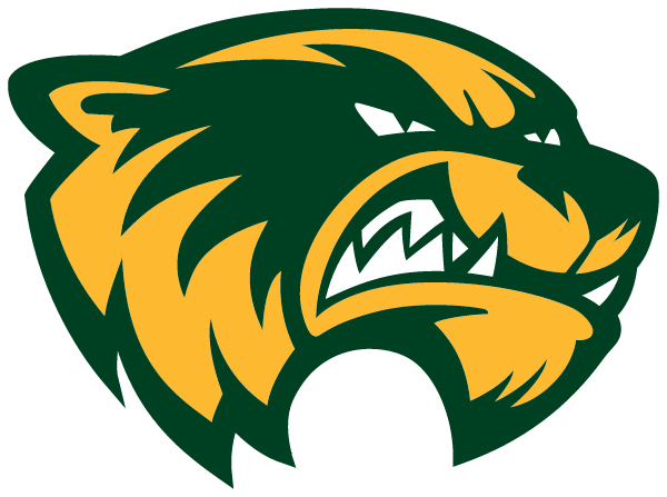 Csal Middle School Logo