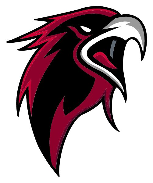 Ps 163 Flushing Heights Sideline Store Falcons (FLUSHING, NEW YORK) Spirit Apparel & Accessories Store