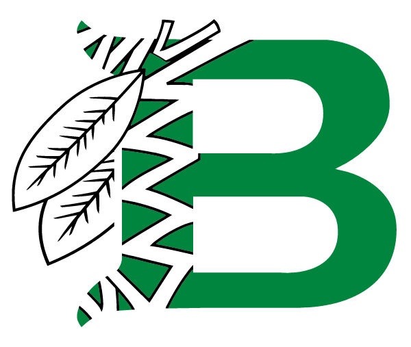 South Middle School Logo