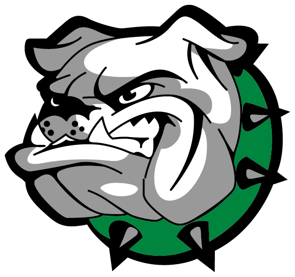 Mineral Springs Middle School Logo