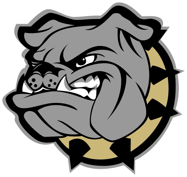 Statesville Middle School Logo