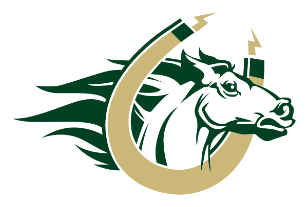 Meadowview Magnet Middle School Logo