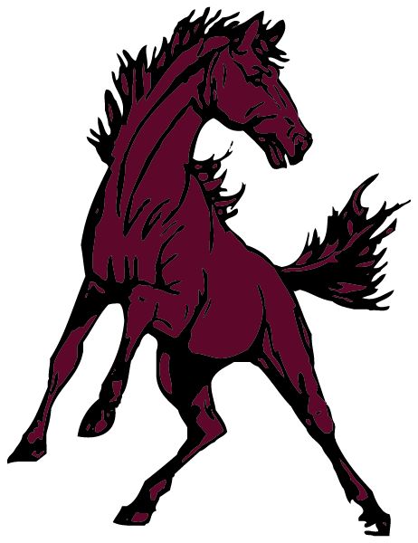 Shawsville Middle School Sideline Store Mustangs (SHAWSVILLE, VIRGINIA) Spirit Apparel & Accessories Store