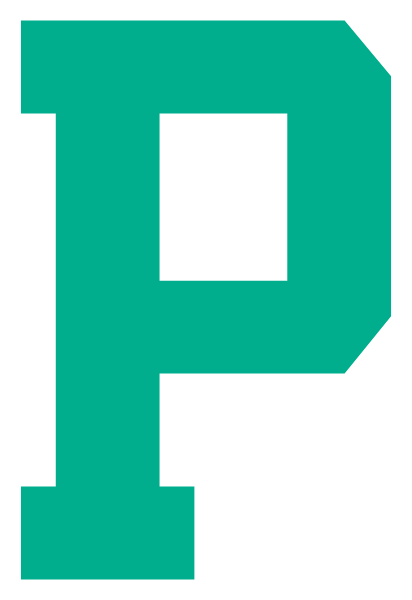 Palmetto Middle School Logo