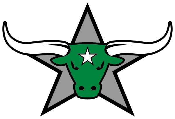 Lone Star Middle School Logo