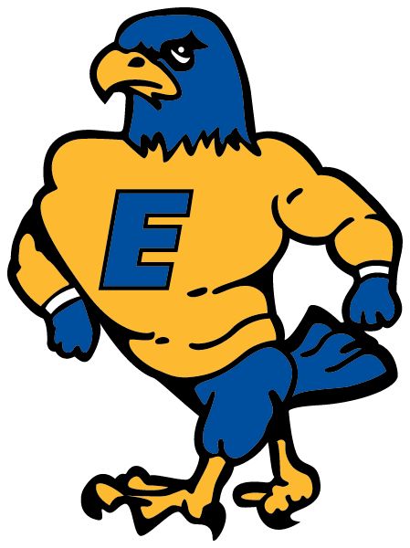 Elverado Junior High School Sideline Store Falcons (VERGENNES, ILLINOIS) Spirit Apparel & Accessories Store